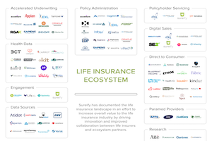 Life Insurance Ecosystem